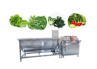 Linea di produzione di verdure congelata pulizia di verdure di ribollimento della lattuga dell'insalata della lavatrice della frutta