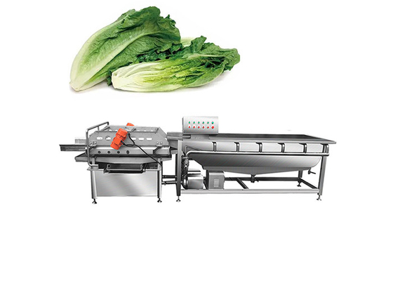 Commercial 304SUS Vortex Vegetable And Fruit Washing Machine For JY-4200