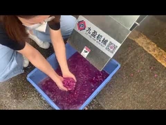 sweet potato dicer machine with 2000~3000kg/h capacity made in China