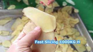 Affettatrice centrifuga da 1000 kg/ora