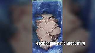 Sega a nastro automatica per carne a taglio singolo JYX-420 con angolo di taglio 0-45 gradi
