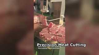 JY310 Sega a nastro da macellaio Taglio di carne di precisione